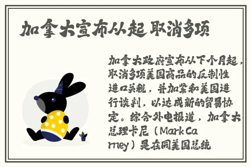 国产精品成人AV片免费看情人